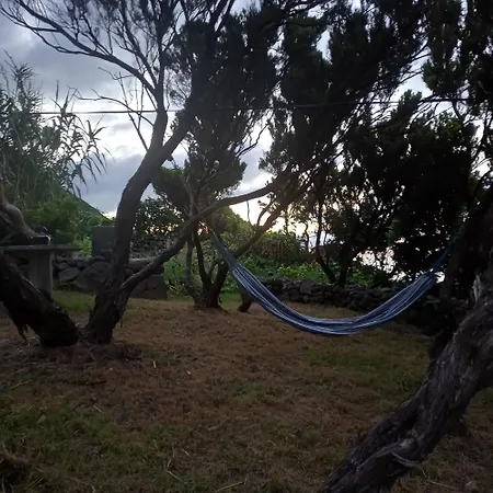 Tatil Evi Casa Do Salgueiro *