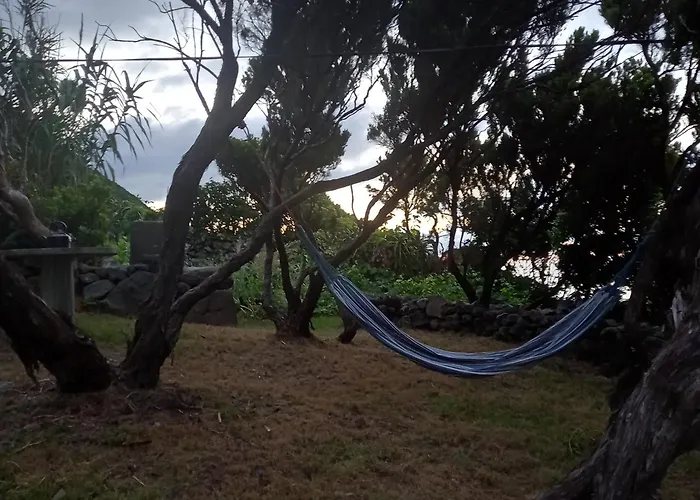 度假居 Casa Do Salgueiro *